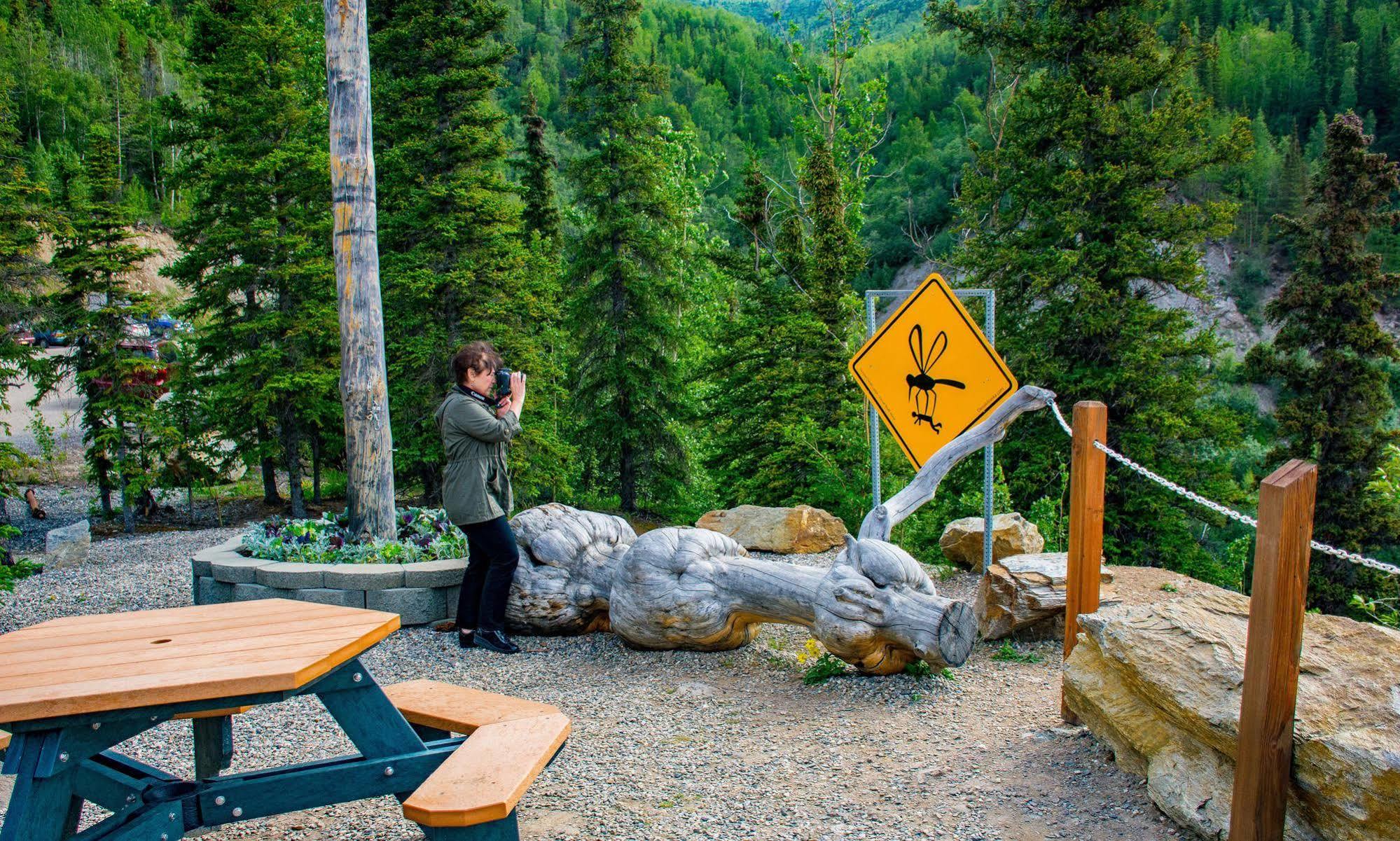 Grande Denali Lodge Denali Park Luaran gambar